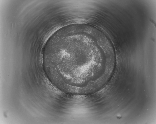X0000103970835200810171922