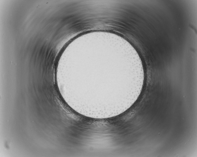 X0000103970838200810171923
