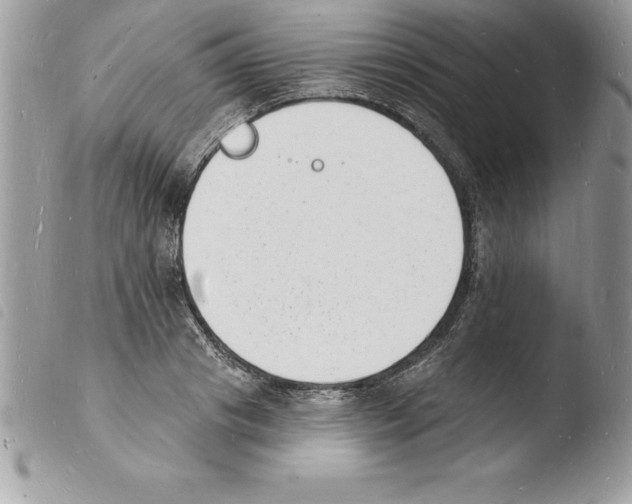 X0000103970841200810171923