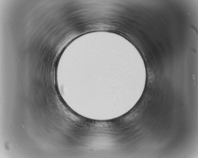 X0000103970843200810171923