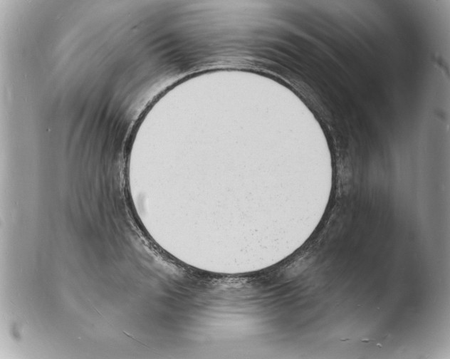X0000103970846200810171923