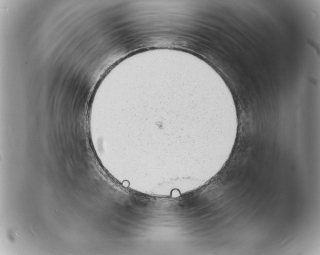 X0000103970848200810171923