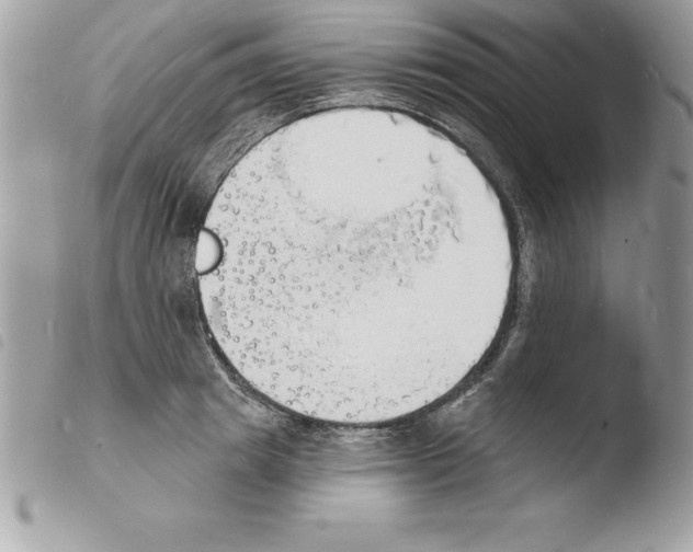 X0000103970849200810171923