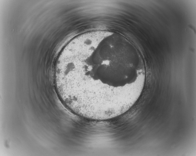X0000103970851200810171923