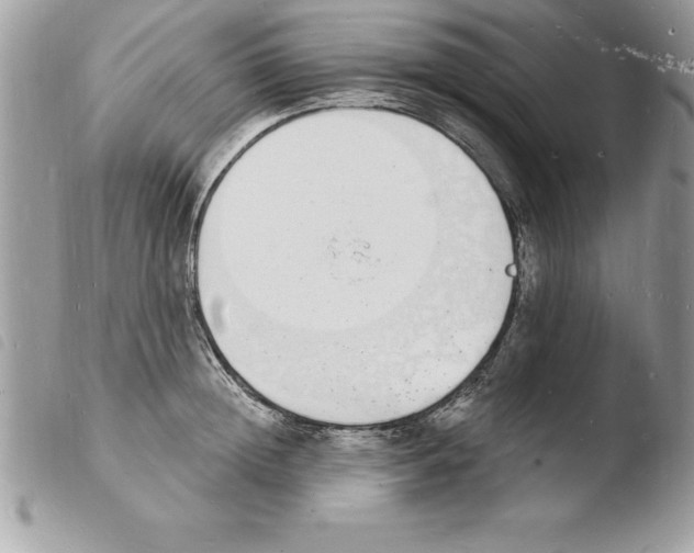 X0000103970852200810171923