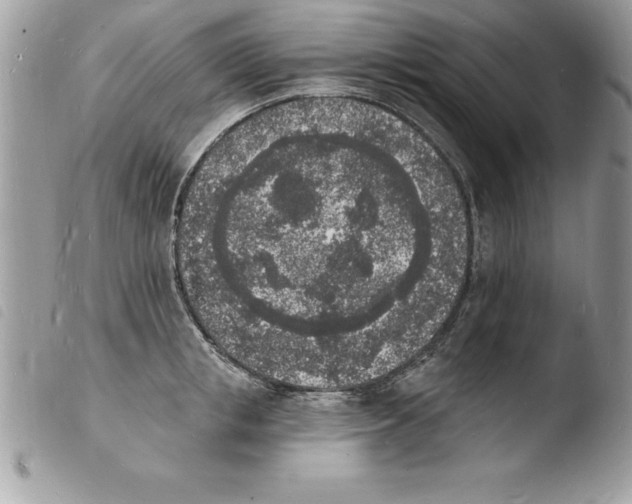 X0000103970853200810171923