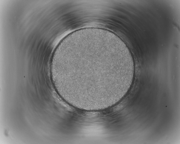 X0000103970854200810171923