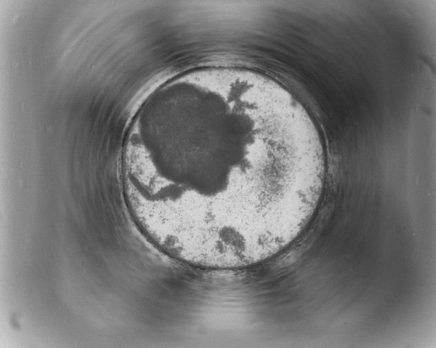 X0000103970855200810171923
