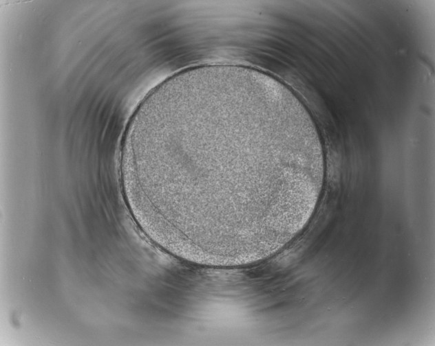 X0000103970856200810171923