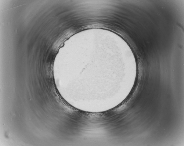 X0000103970857200810171923