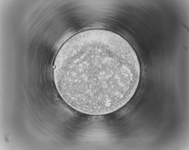 X0000103970858200810171923
