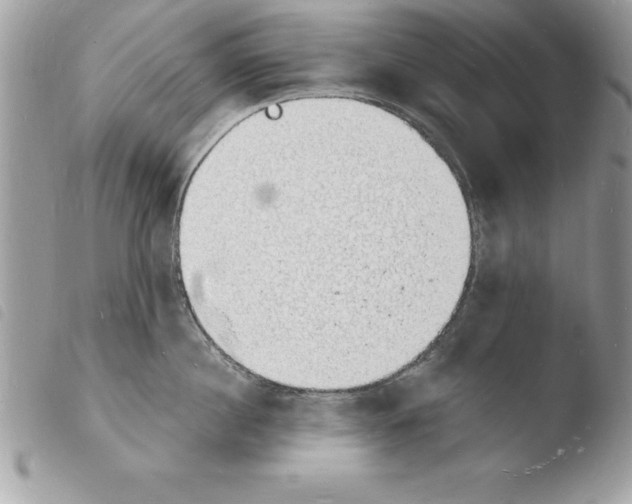 X0000103970860200810171923