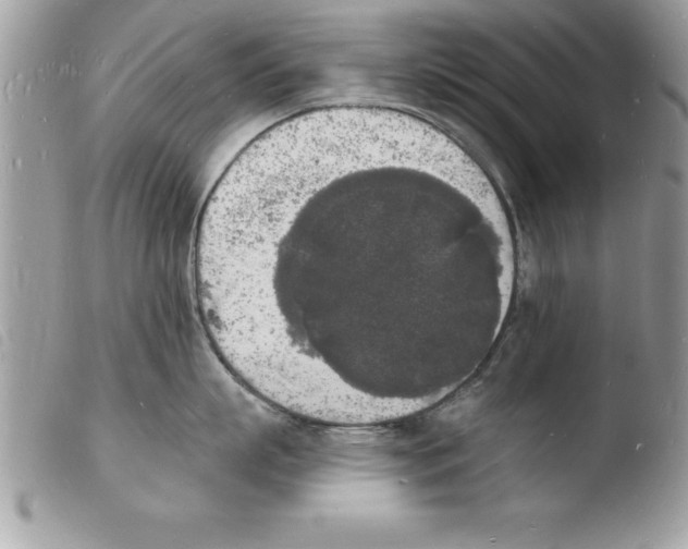 X0000103970863200810171923
