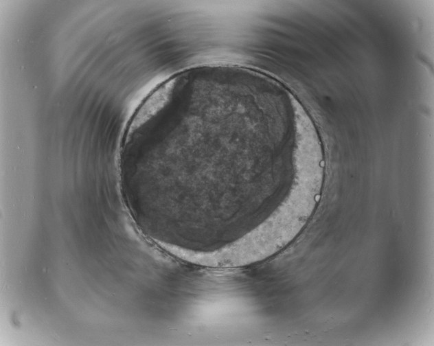 X0000103970864200810171923