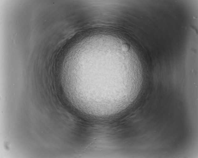 X0000103970865200810171922