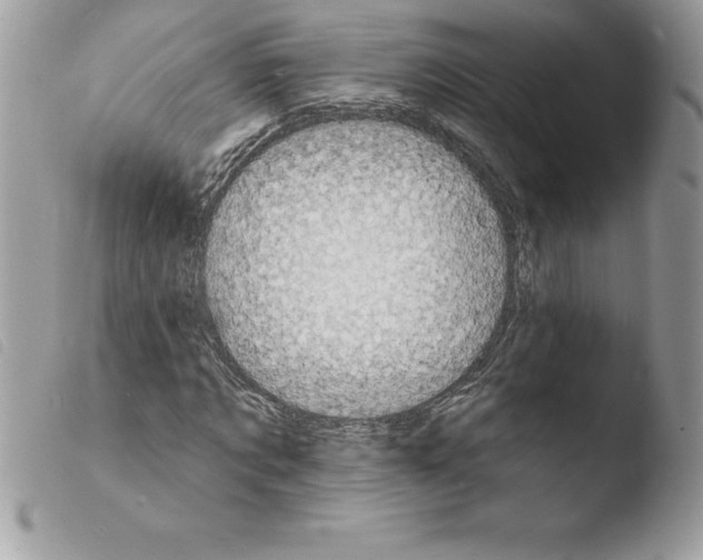 X0000103970869200810171922