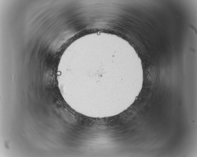 X0000103970872200810171922