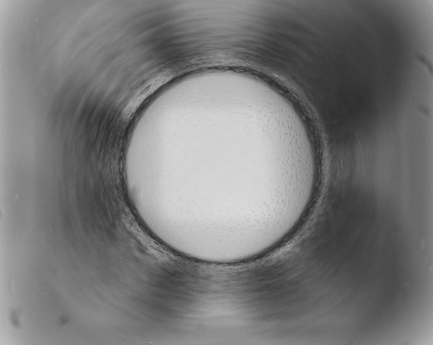 X0000103970873200810171922