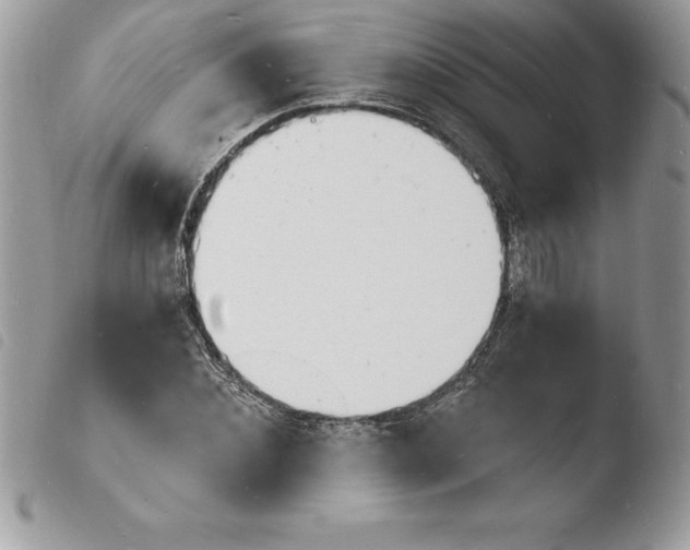 X0000103970876200810171922