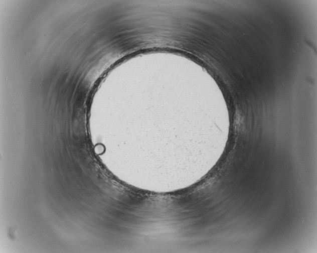 X0000103970877200810171922