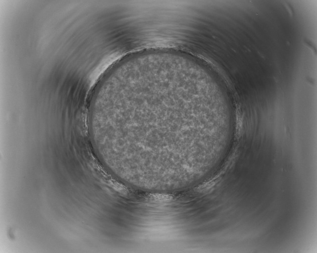 X0000103970878200810171922