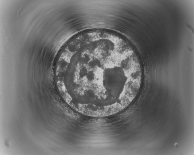 X0000103970879200810171922