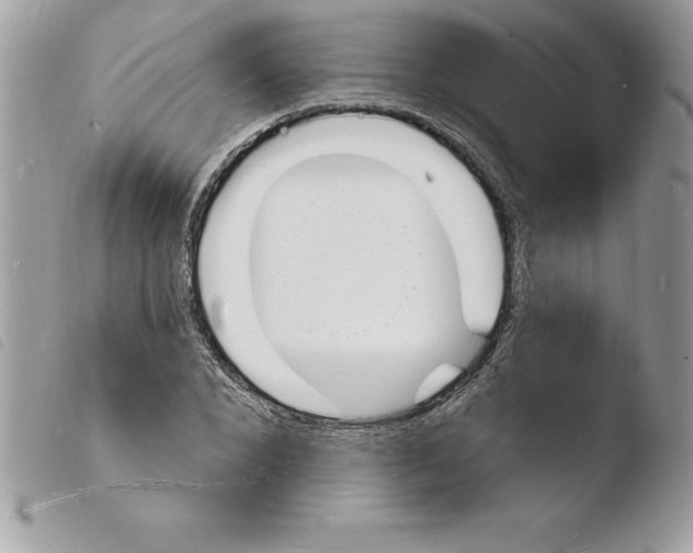 X0000103970880200810171922
