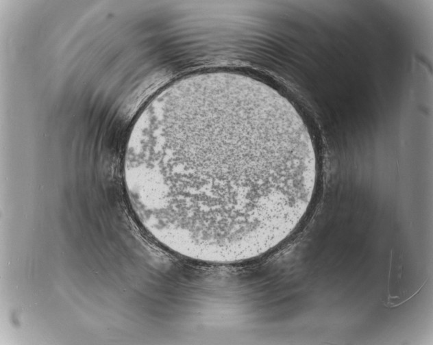 X0000103970881200810171922