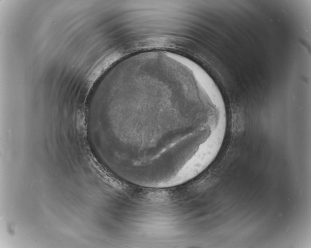 X0000103970882200810171922