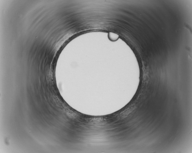 X0000103970883200810171922