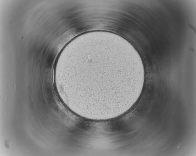 X0000103970892200810171922