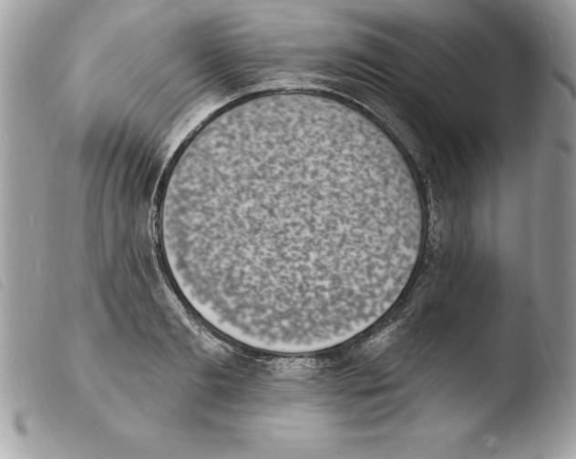 X0000103970893200810171922