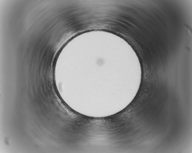 X0000103970894200810171922