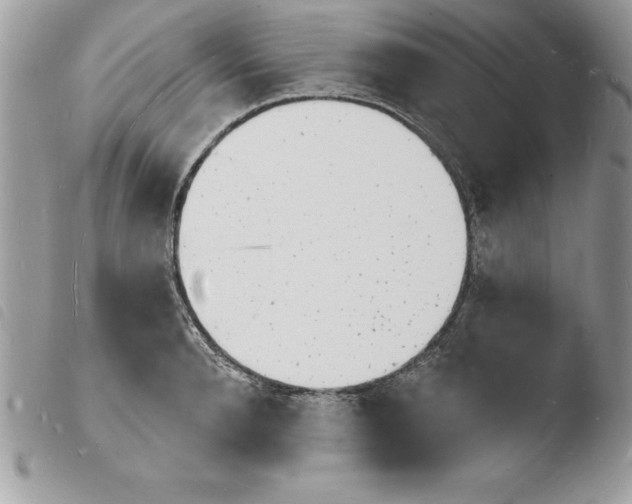 X0000103970896200810171921