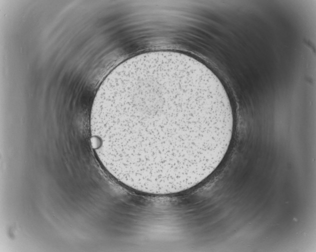 X0000103970897200810171921