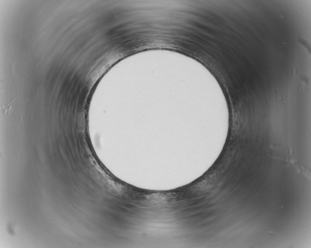 X0000103970898200810171921