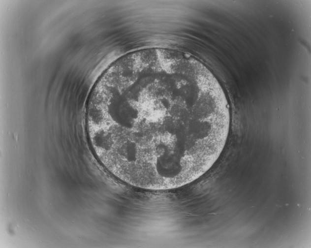 X0000103970899200810171921