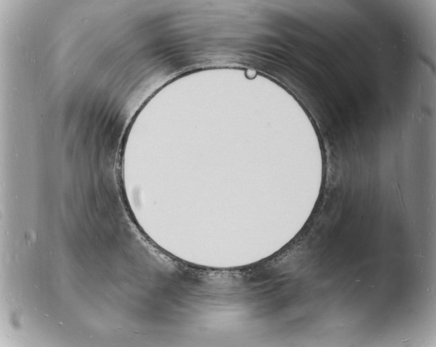 X0000103970901200810171921