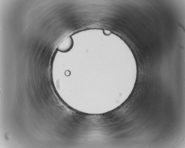 X0000103970902200810171921