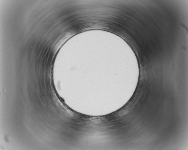 X0000103970906200810171921