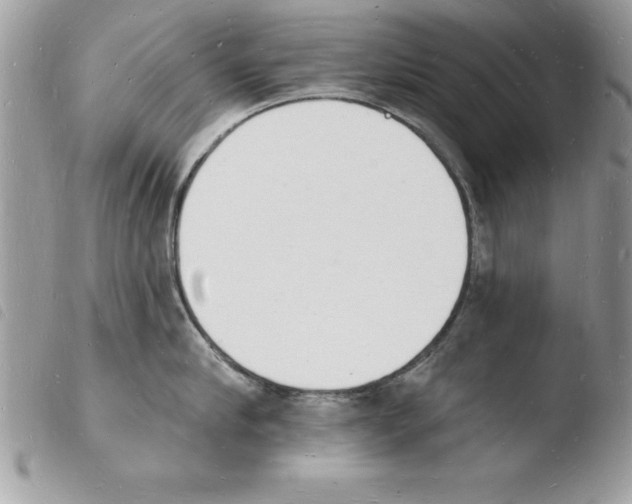 X0000103970910200810171921
