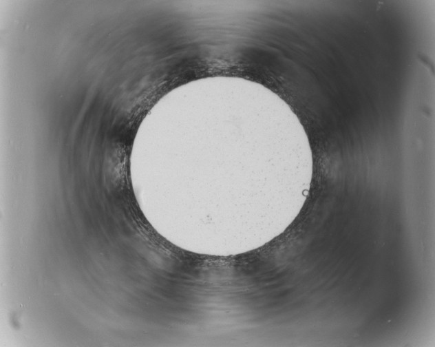 X0000103970914200810171921