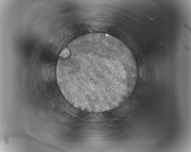 X0000103970915200810171921