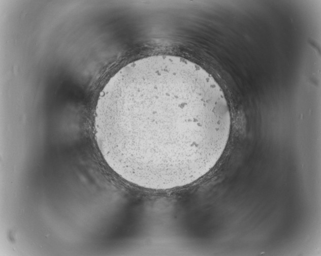 X0000103970916200810171921