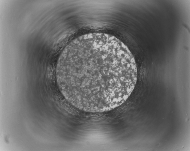 X0000103970917200810171921