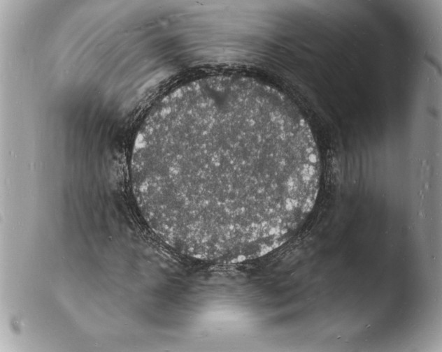 X0000103970918200810171921