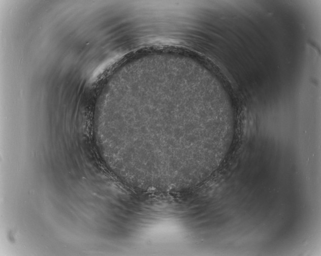 X0000103970919200810171921