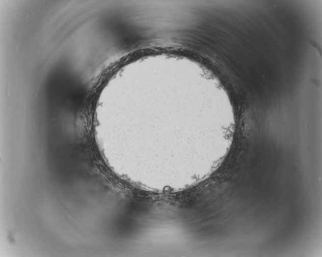 X0000103970920200810171921