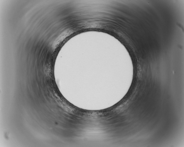 X0000103970922200810171921