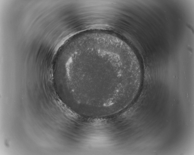 X0000103970923200810171921